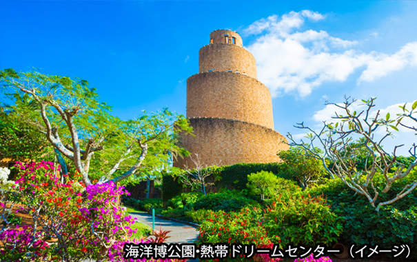 【那覇発日帰りバスツアー】古宇利島・今帰仁城跡美ら海コース