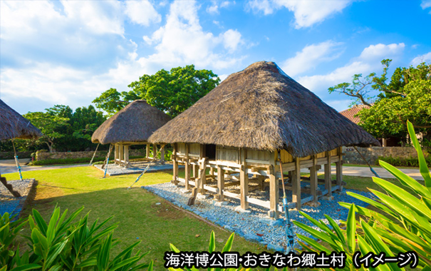 【那覇発日帰りバスツアー】古宇利島・今帰仁城跡美ら海コース